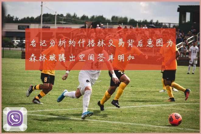 名记分析约什格林交易背后意图为森林狼腾出空间签库明加
